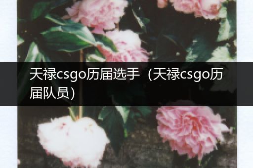 天禄csgo历届选手（天禄csgo历届队员）