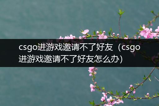 csgo进游戏邀请不了好友（csgo进游戏邀请不了好友怎么办）