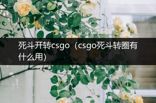 死斗开转csgo（csgo死斗转圈有什么用）