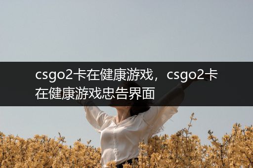 csgo2卡在健康游戏，csgo2卡在健康游戏忠告界面