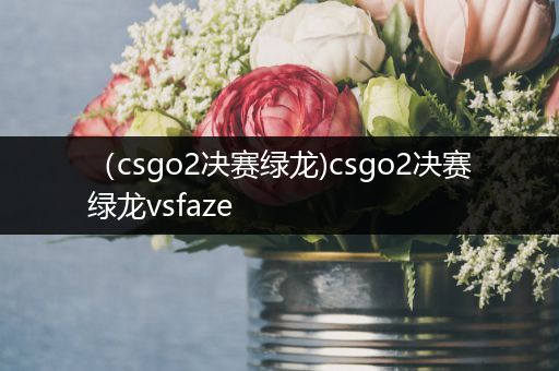 （csgo2决赛绿龙)csgo2决赛绿龙vsfaze