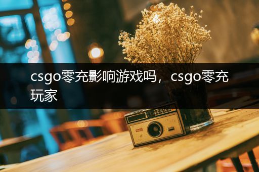 csgo零充影响游戏吗，csgo零充玩家