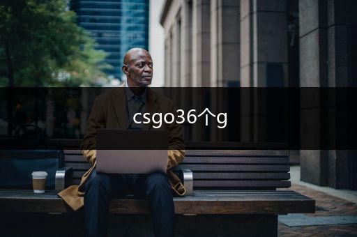csgo36个g