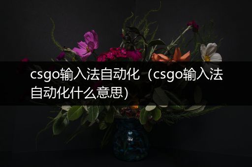 csgo输入法自动化（csgo输入法自动化什么意思）