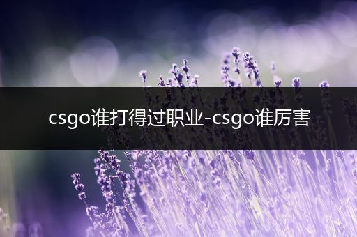 csgo谁打得过职业-csgo谁厉害
