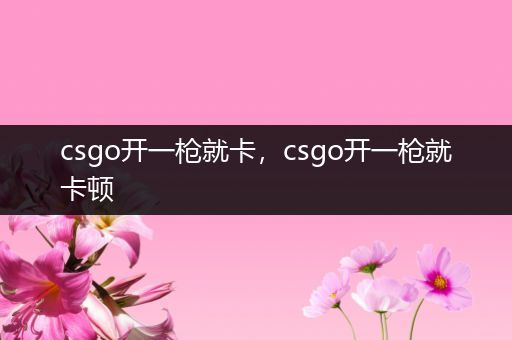 csgo开一枪就卡，csgo开一枪就卡顿