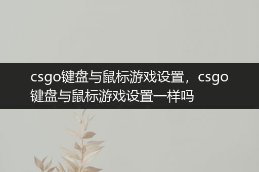 csgo键盘与鼠标游戏设置，csgo键盘与鼠标游戏设置一样吗