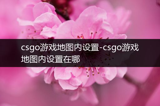 csgo游戏地图内设置-csgo游戏地图内设置在哪