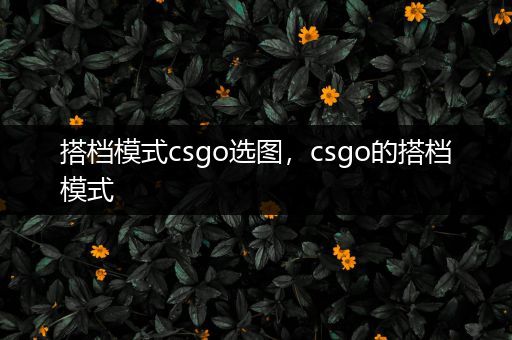 搭档模式csgo选图，csgo的搭档模式
