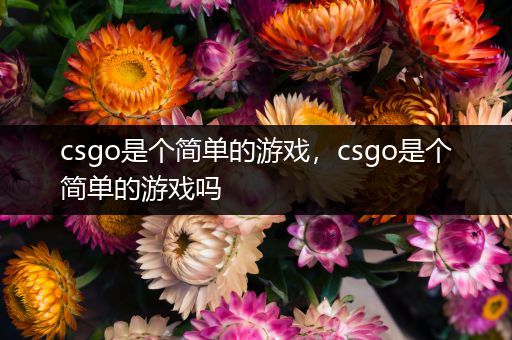 csgo是个简单的游戏，csgo是个简单的游戏吗