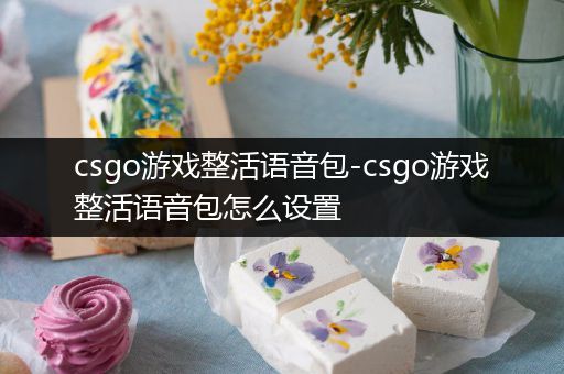 csgo游戏整活语音包-csgo游戏整活语音包怎么设置