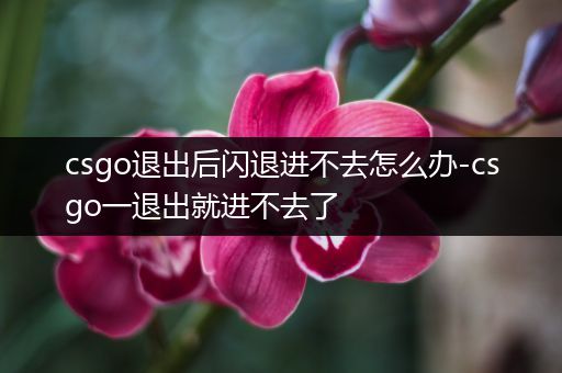 csgo退出后闪退进不去怎么办-csgo一退出就进不去了