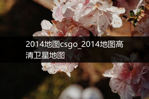 2014地图csgo_2014地图高清卫星地图