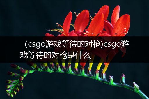 （csgo游戏等待的对枪)csgo游戏等待的对枪是什么