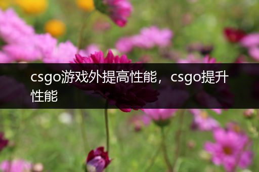 csgo游戏外提高性能，csgo提升性能