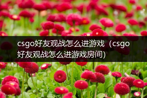 csgo好友观战怎么进游戏（csgo好友观战怎么进游戏房间）
