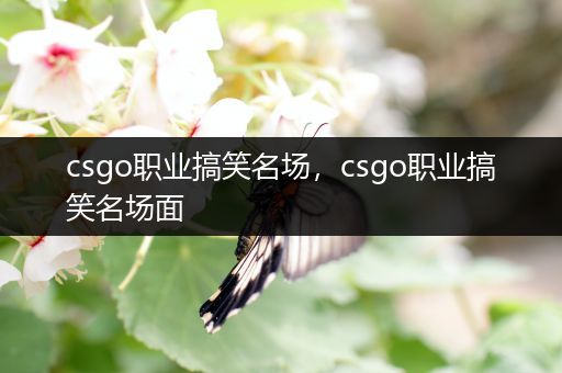 csgo职业搞笑名场，csgo职业搞笑名场面