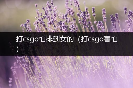 打csgo怕排到女的（打csgo害怕）