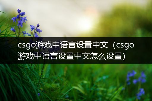 csgo游戏中语言设置中文（csgo游戏中语言设置中文怎么设置）