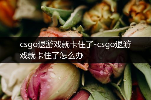 csgo退游戏就卡住了-csgo退游戏就卡住了怎么办