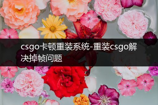 csgo卡顿重装系统-重装csgo解决掉帧问题
