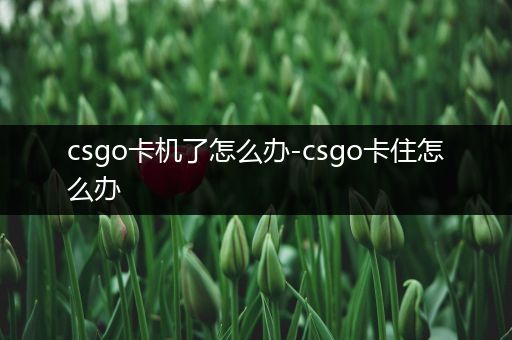 csgo卡机了怎么办-csgo卡住怎么办