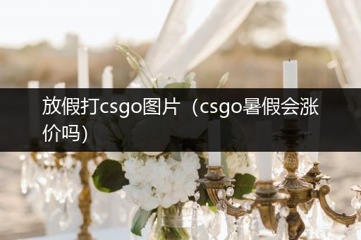 放假打csgo图片（csgo暑假会涨价吗）